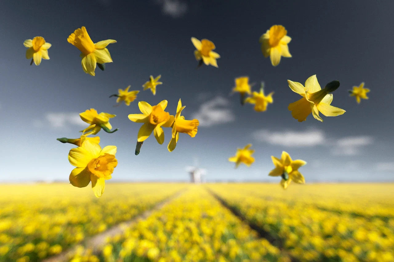 Interview with nature photographer Claire Droppert
