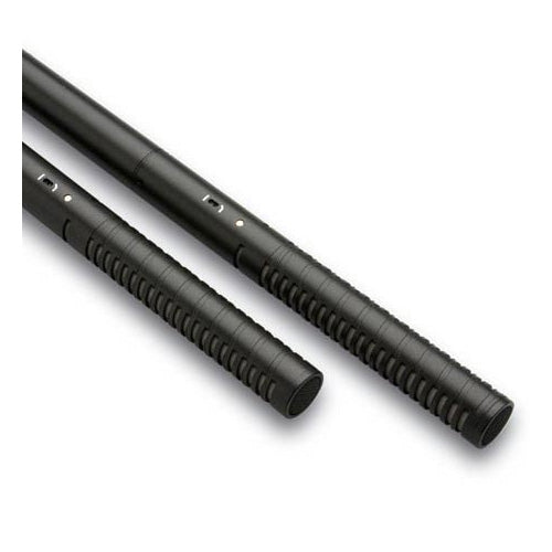 RØDE Microfono lungo dritto NTG-2