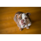 Lensbaby Velvet 56 Sony E-Attacco Nero