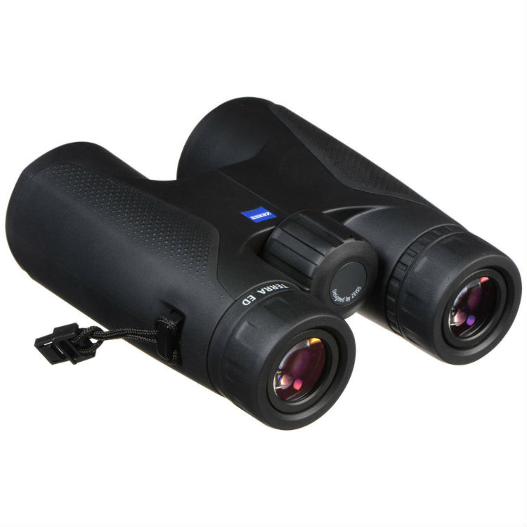 Zeiss Terra ED 10x42 - Nero