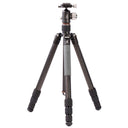 Leofoto Ranger RF-284CT + testa a sfera XB-32