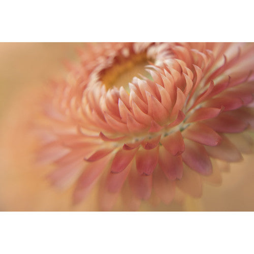 Lensbaby Kit di filtri macro 46mm