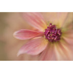 Lensbaby Kit di filtri macro 46mm
