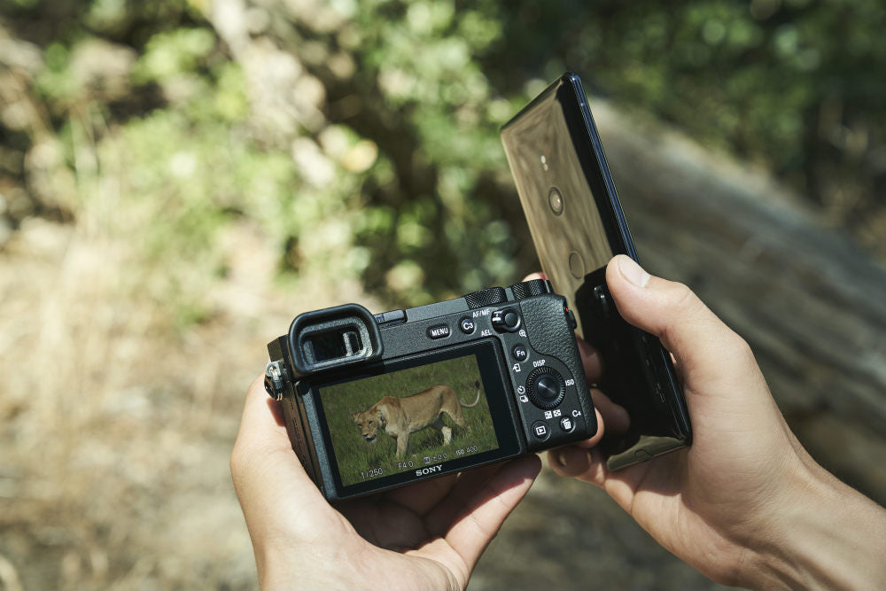 Sony A6600 corpo