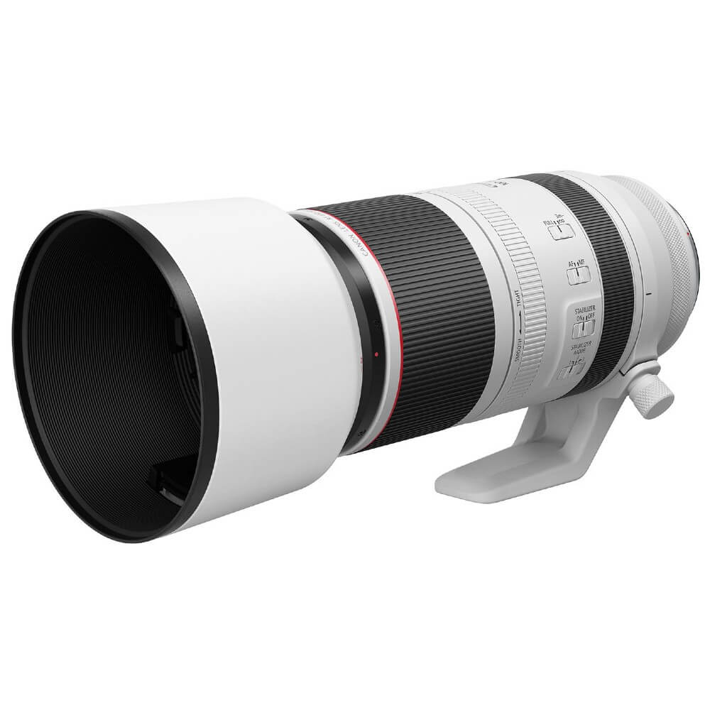 Canon RF 100-500mm f/4.5-7.1 L IS USM