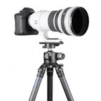 Leofoto PL-200 lensplaat 200mm