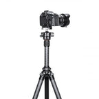 Leofoto QS-50 Set di collegamenti rapidi