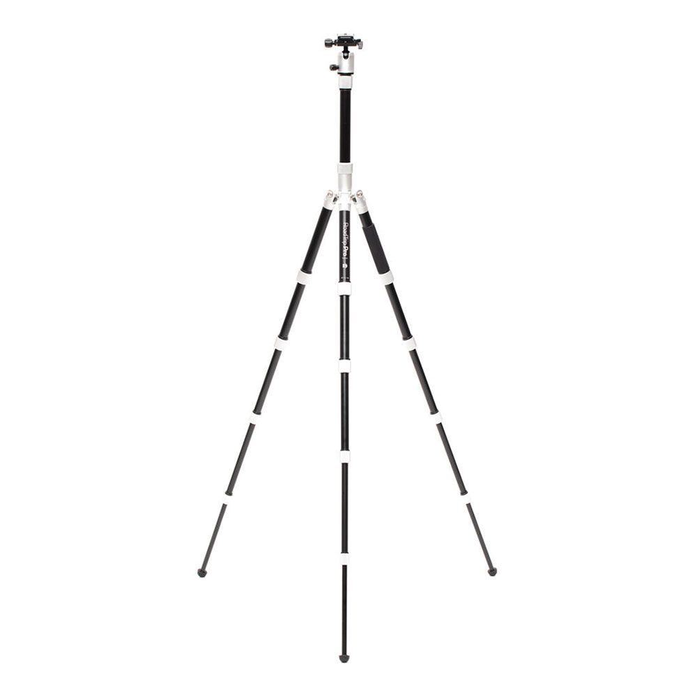 Benro Roadtrip Pro Treppiede in alluminio argento