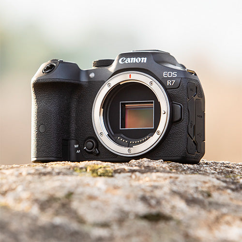 Canon EOS R7 Body