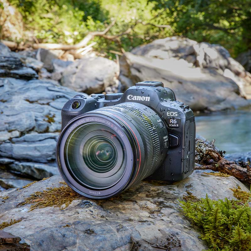 Canon EOS R6 II + RF 50mm f/1.8 STM