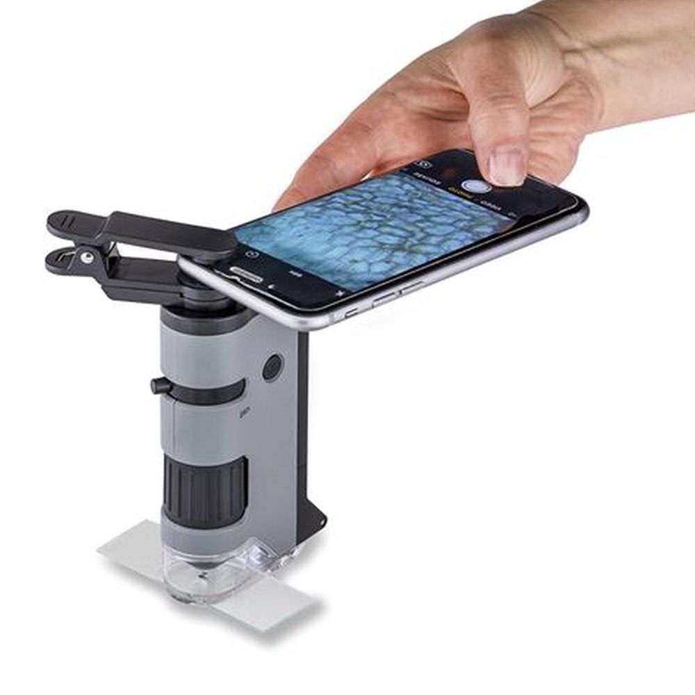 Carson Microscopio portatile MP-250 MicroFlip 100-250x con adattatore per smartphone