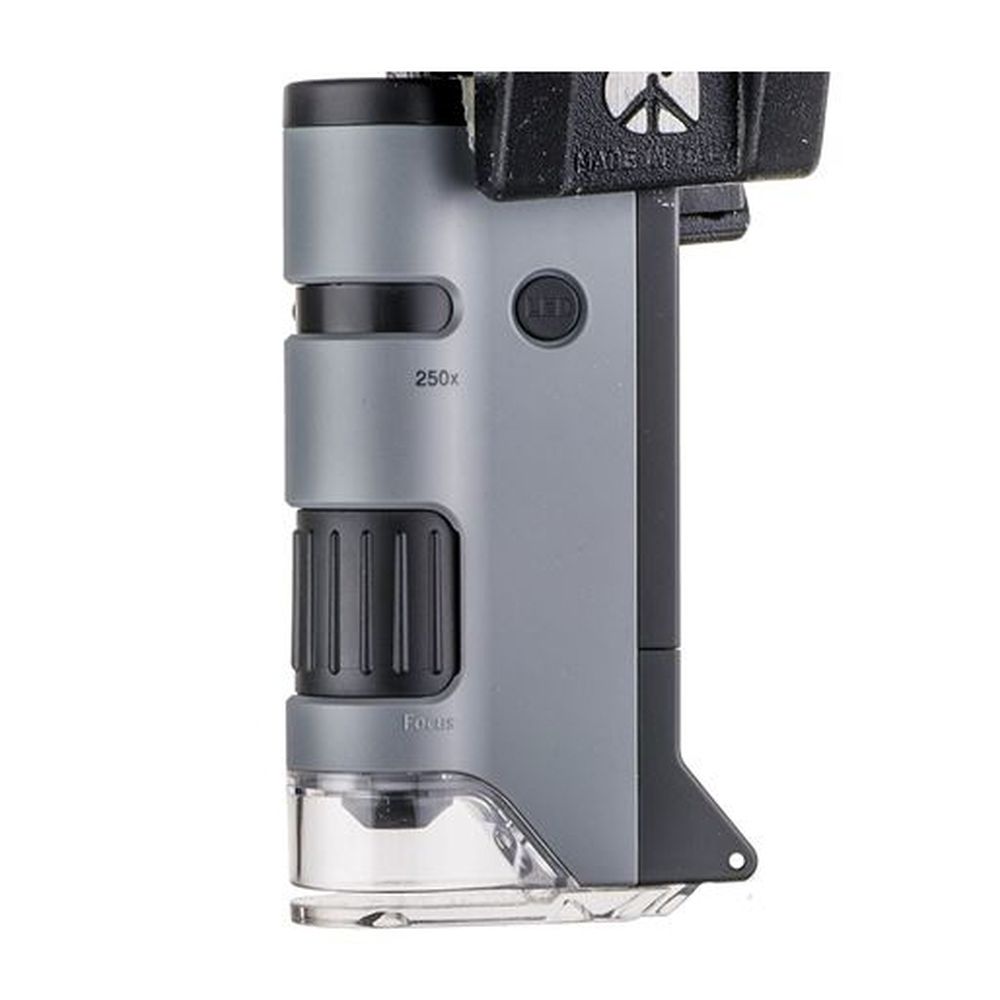 Carson Microscopio portatile MP-250 MicroFlip 100-250x con adattatore per smartphone