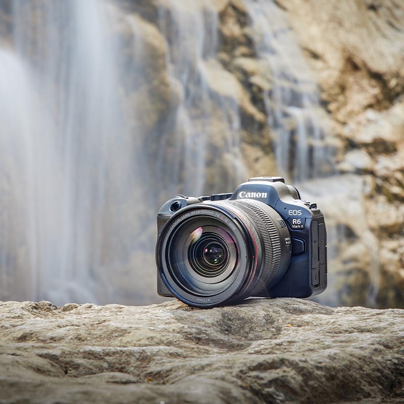 Canon EOS R6 Mark II + EF - RF adattatore baionetta