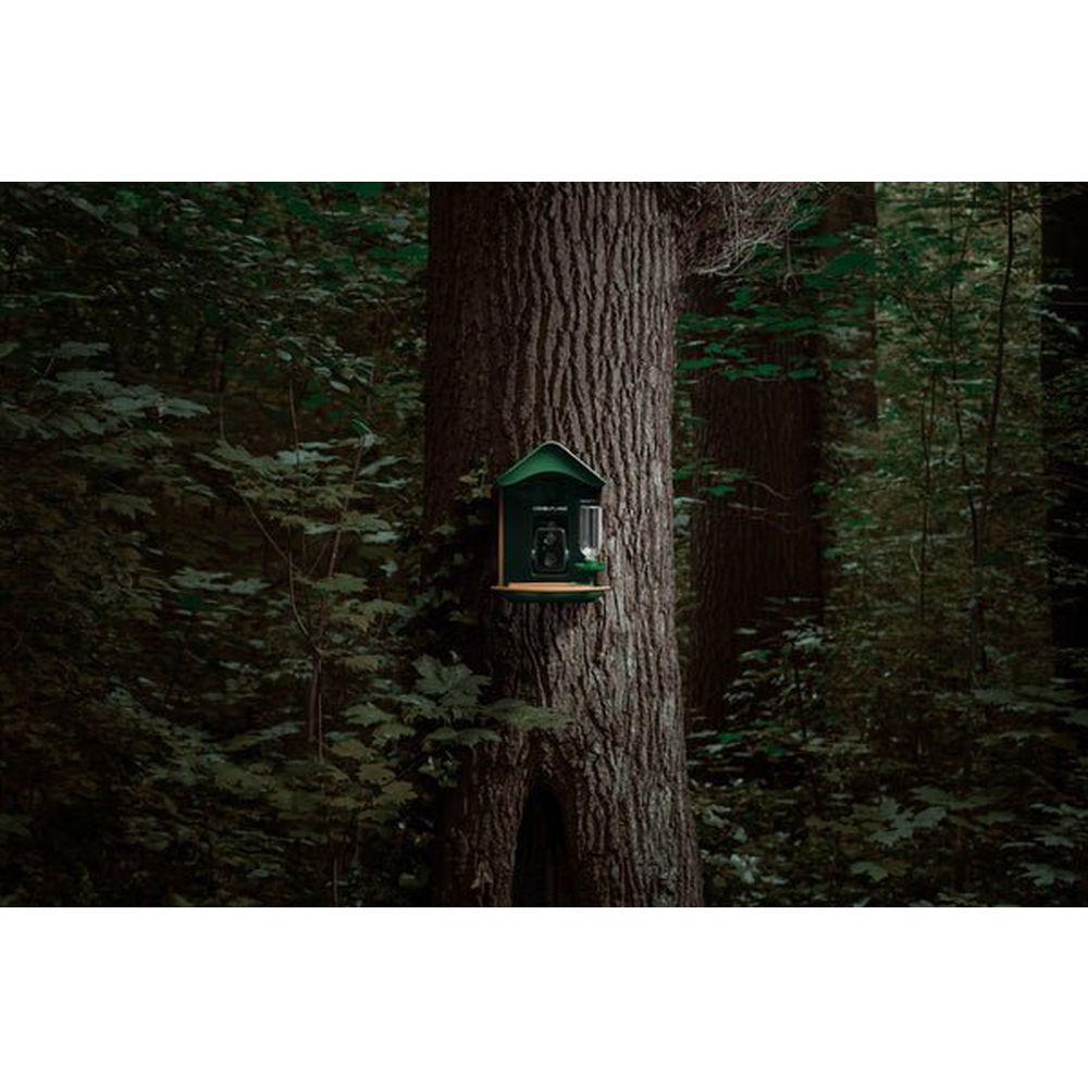 Camouflage EZ BirdFeed 1 OUTLET