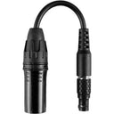 Hollyland HL-CB02: Cavo adattatore da LEMO a 8 pin a XLR a 4 pin