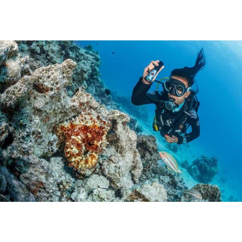 SeaLife Sea Dragon Mini 1200 (KIT12) Kit di alimentazione