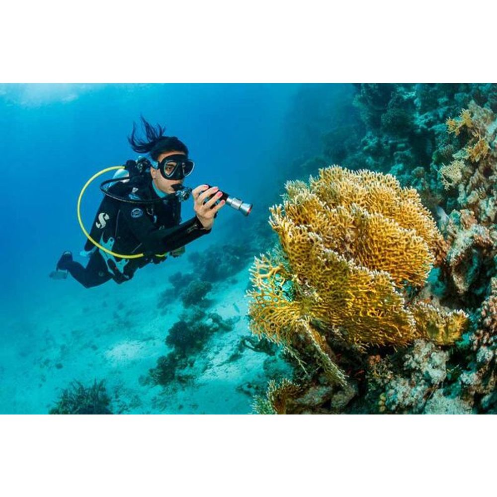 SeaLife Sea Dragon Mini 1200 (KIT12) Kit di alimentazione