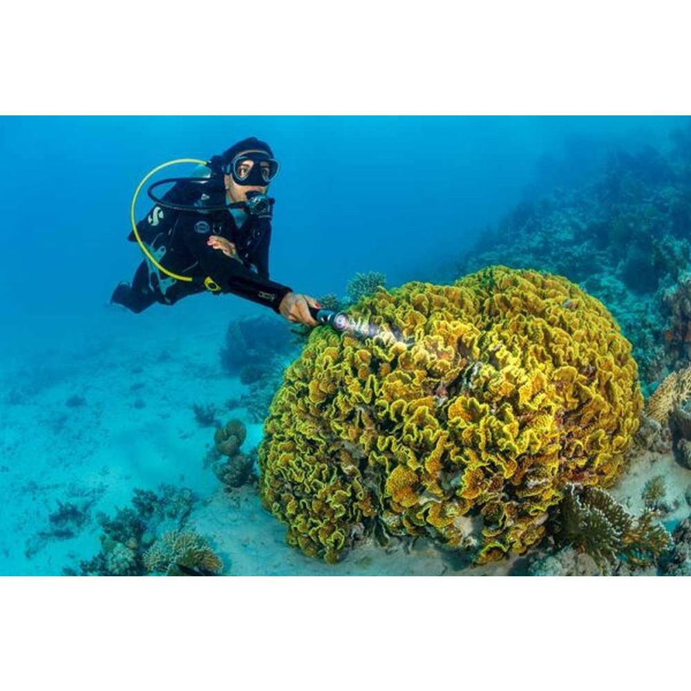 SeaLife Sea Dragon Mini 1200 (KIT12) Kit di alimentazione