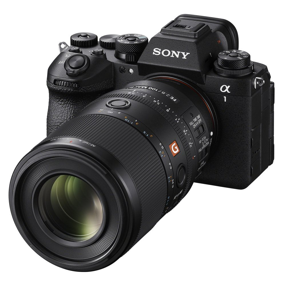 Sony FE 100mm f/2,8 Macro GM OSS