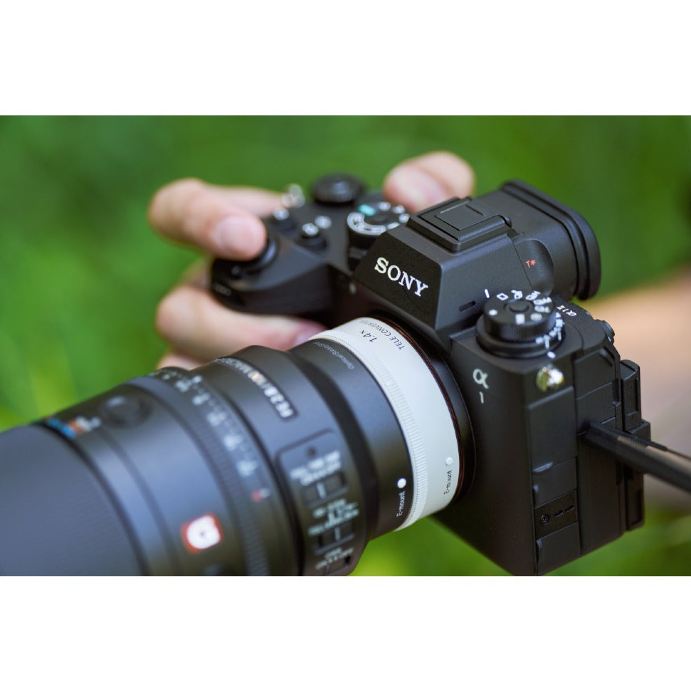 Sony FE 100mm f/2,8 Macro GM OSS