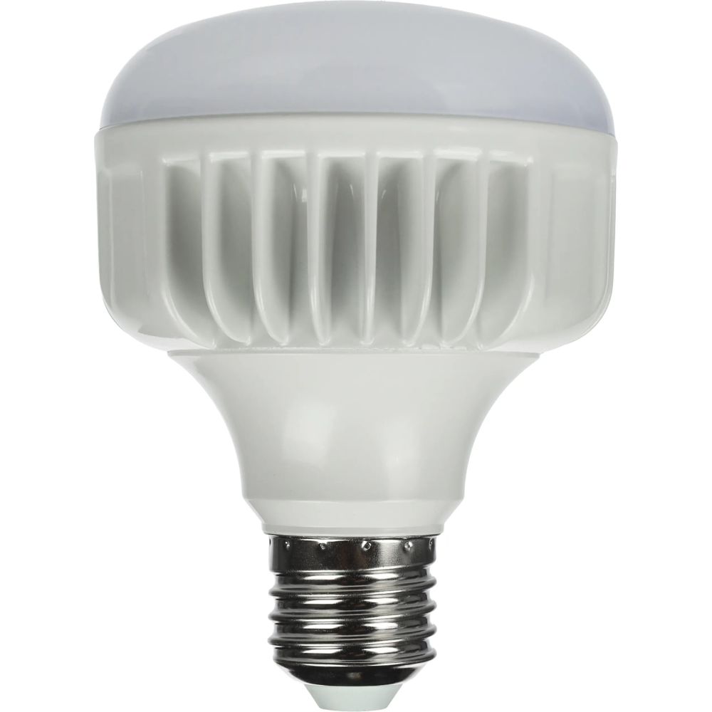 StudioKing Lampada LED Daylight 25W E27 FLED-25