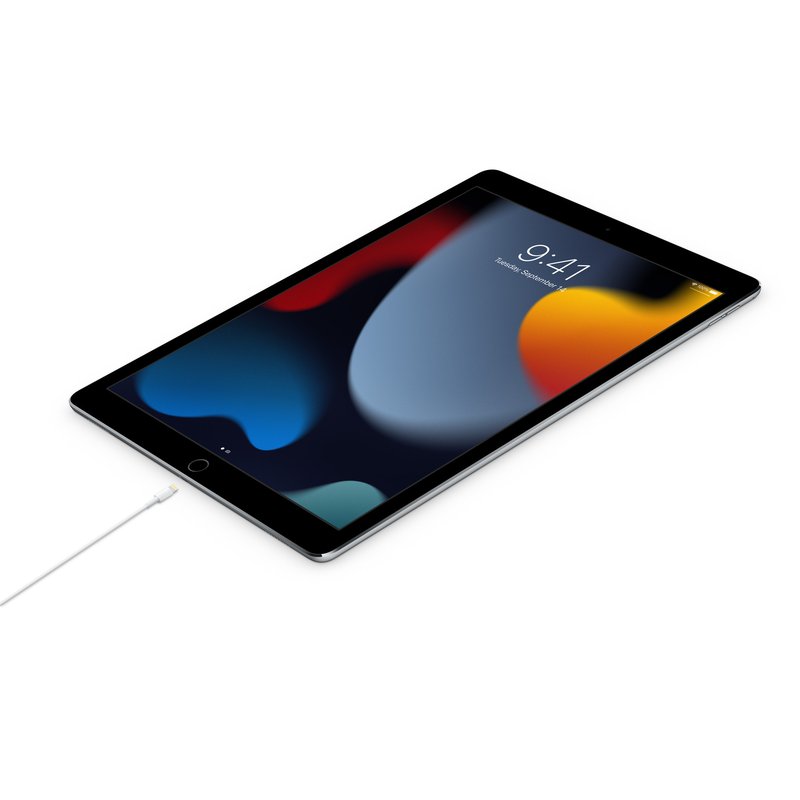 Apple Cavo da USB-C a Lightning 2 m