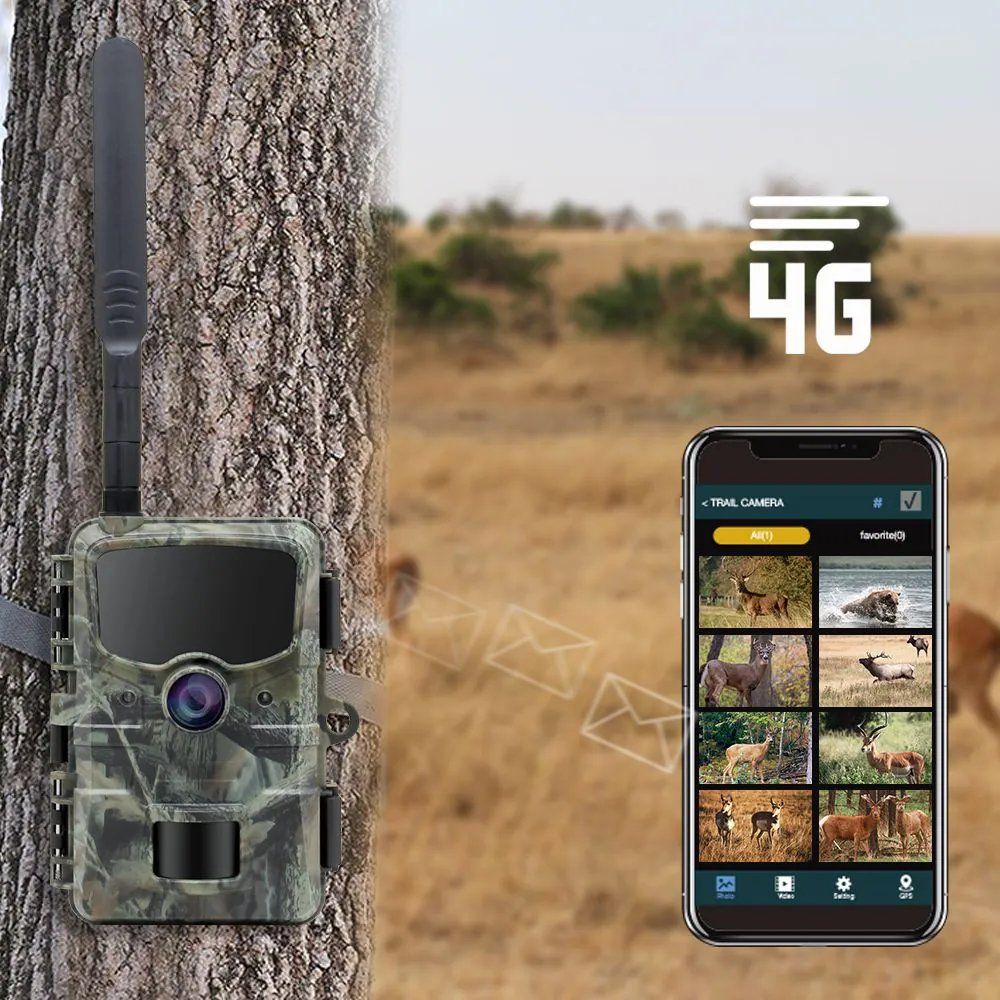 Stealth Gear Hedgehog 1080p 4G Telecamera per la fauna selvatica