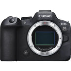 Canon EOS R6 mark II + RF 100-400mm f/5.6-8 IS USM objectief