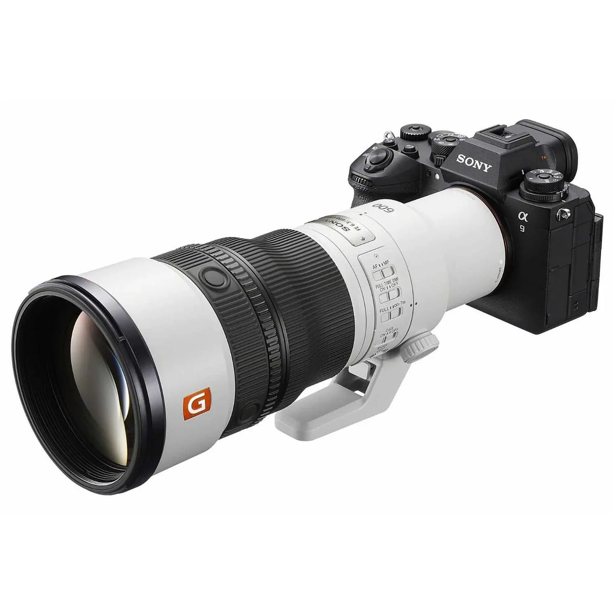 Sony FE 600mm f/6.3 GM OSS + 1.4 Teleconverter