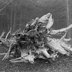 Kodak Ektapan 400 - 35mm x 30.5m (bulk)