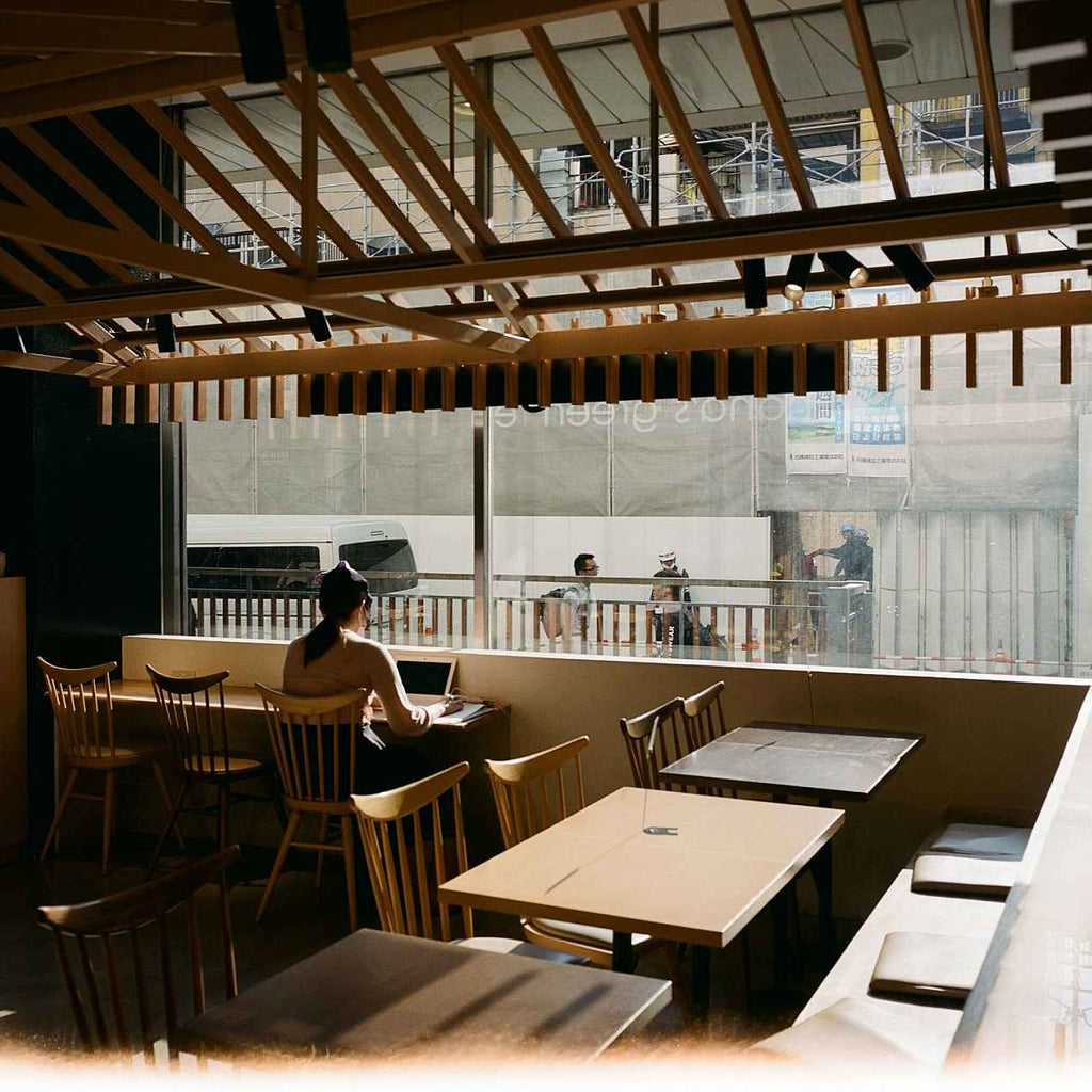 Kodak Ektacolor Pro 400 - 4x5" / 10 Sheets